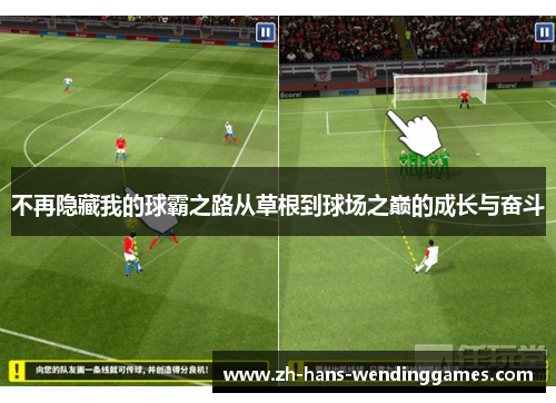 不再隐藏我的球霸之路从草根到球场之巅的成长与奋斗
