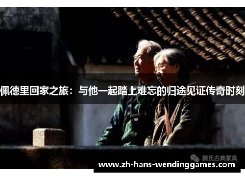 佩德里回家之旅：与他一起踏上难忘的归途见证传奇时刻