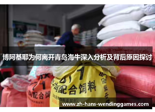 博阿基耶为何离开青岛海牛深入分析及背后原因探讨