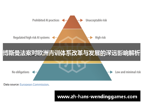 博斯曼法案对欧洲青训体系改革与发展的深远影响解析