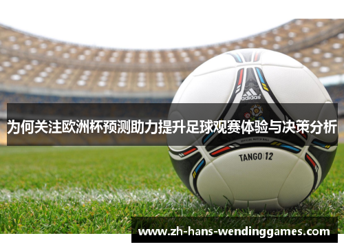 为何关注欧洲杯预测助力提升足球观赛体验与决策分析