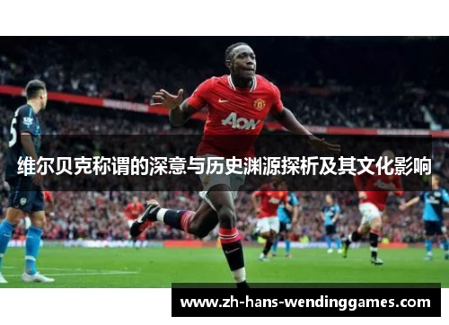 维尔贝克称谓的深意与历史渊源探析及其文化影响