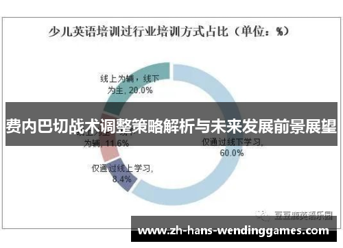 费内巴切战术调整策略解析与未来发展前景展望