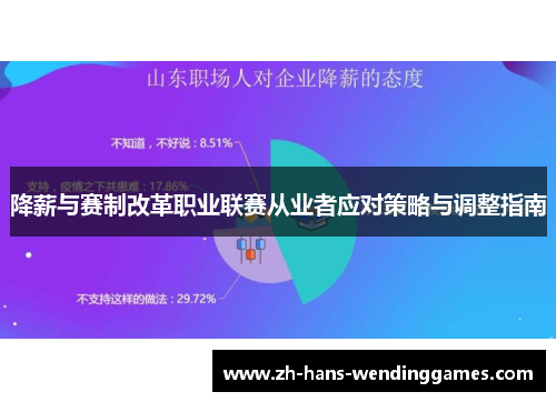 降薪与赛制改革职业联赛从业者应对策略与调整指南